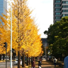 東京は晴れでした