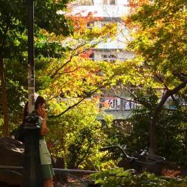 物語のある写真